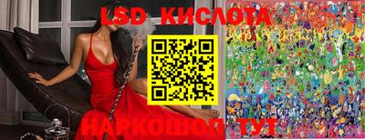 PSILOCYBIN Конаково