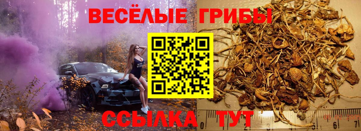 Псилоцибиновые грибы мухоморы Карпинск